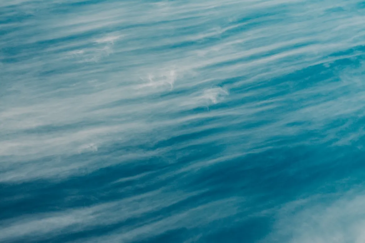 Irina Iriser from Unsplash