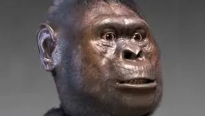 Image from Sci.News