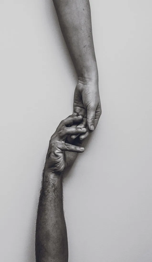 Marion Cervela from Unsplash
