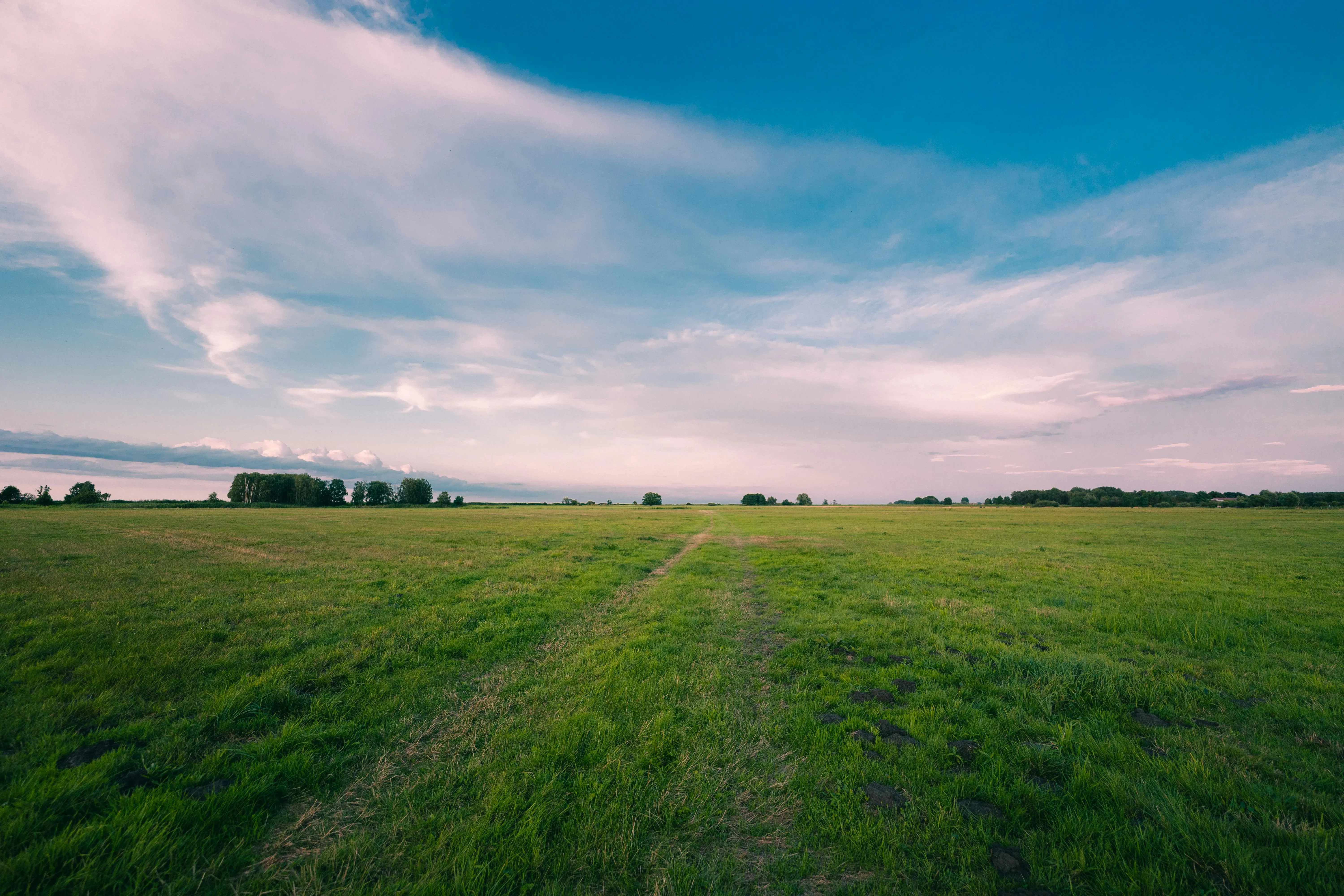 Paul Lichtblau on Pexels