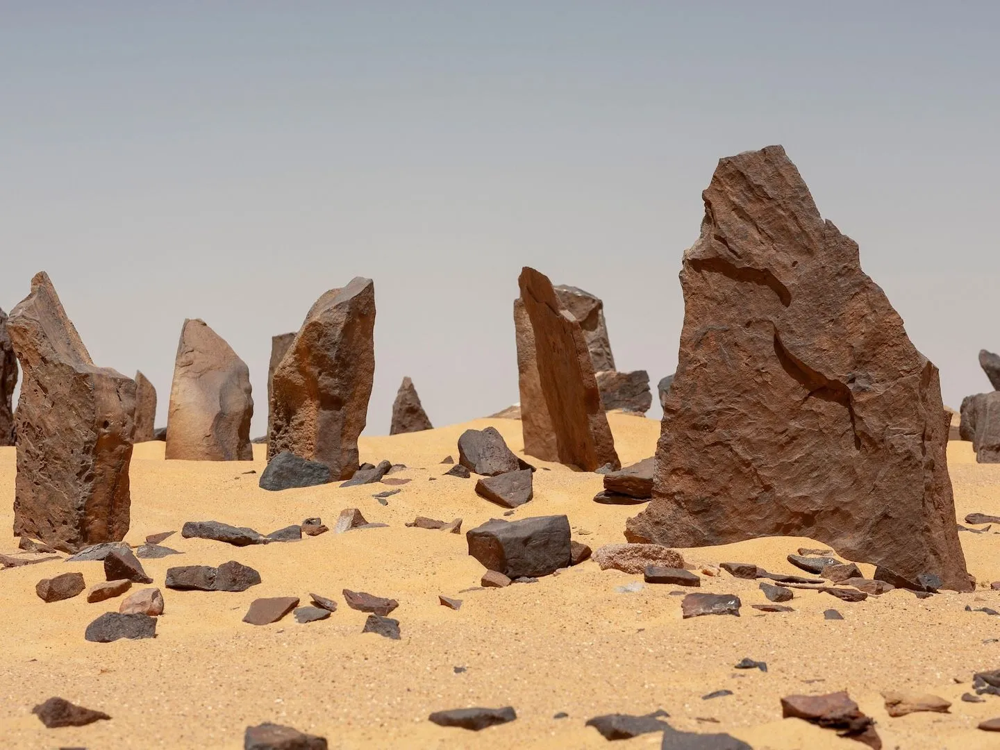 Image from Live Science