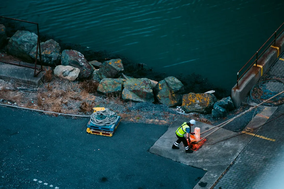 David Knox from Unsplash