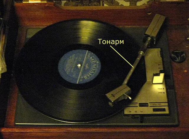 Binome on Wikimedia Commons