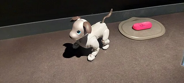 Aniol on Wikimedia Commons