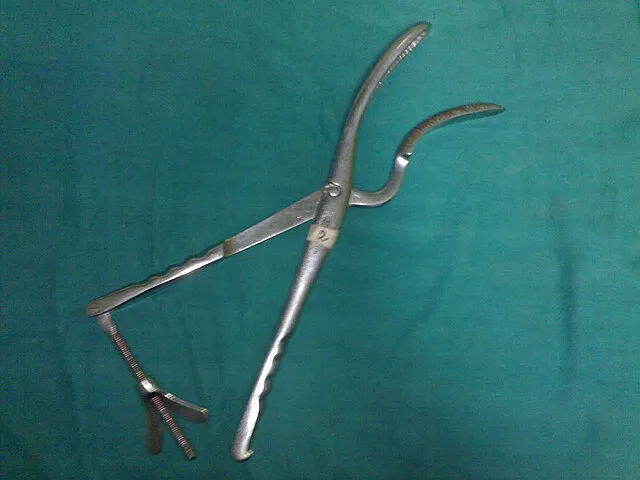 Sarindam7 on Wikimedia Commons