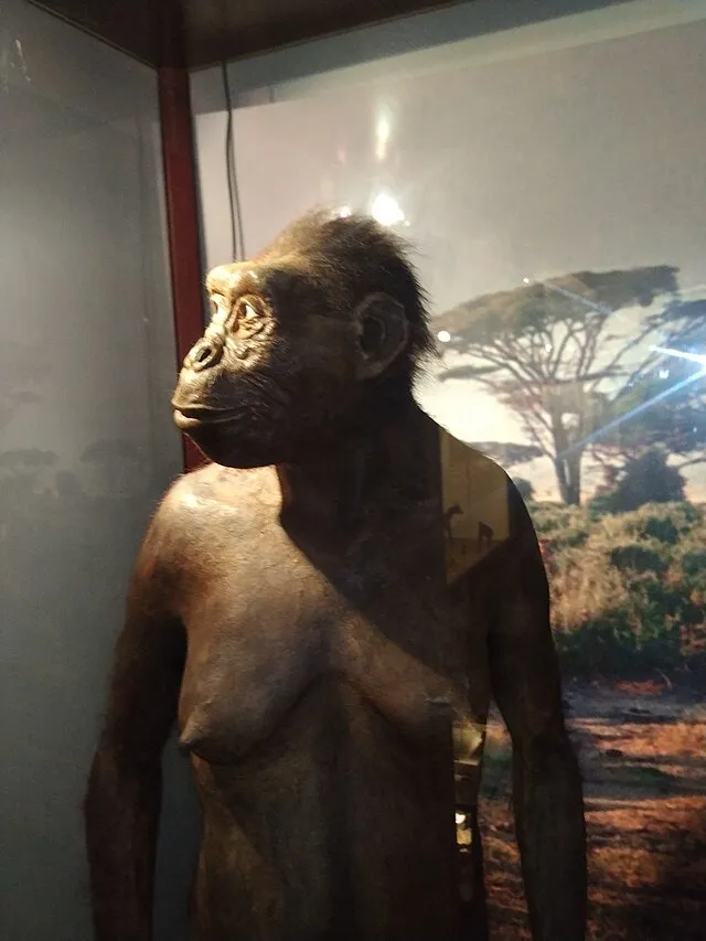 Lamminiaz on Wikimedia Commons