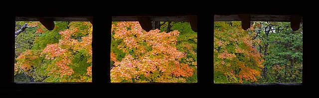 Diego Delso on Wikimedia Commons