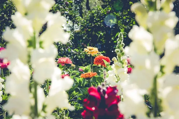 Markus Spiske on Pexels 