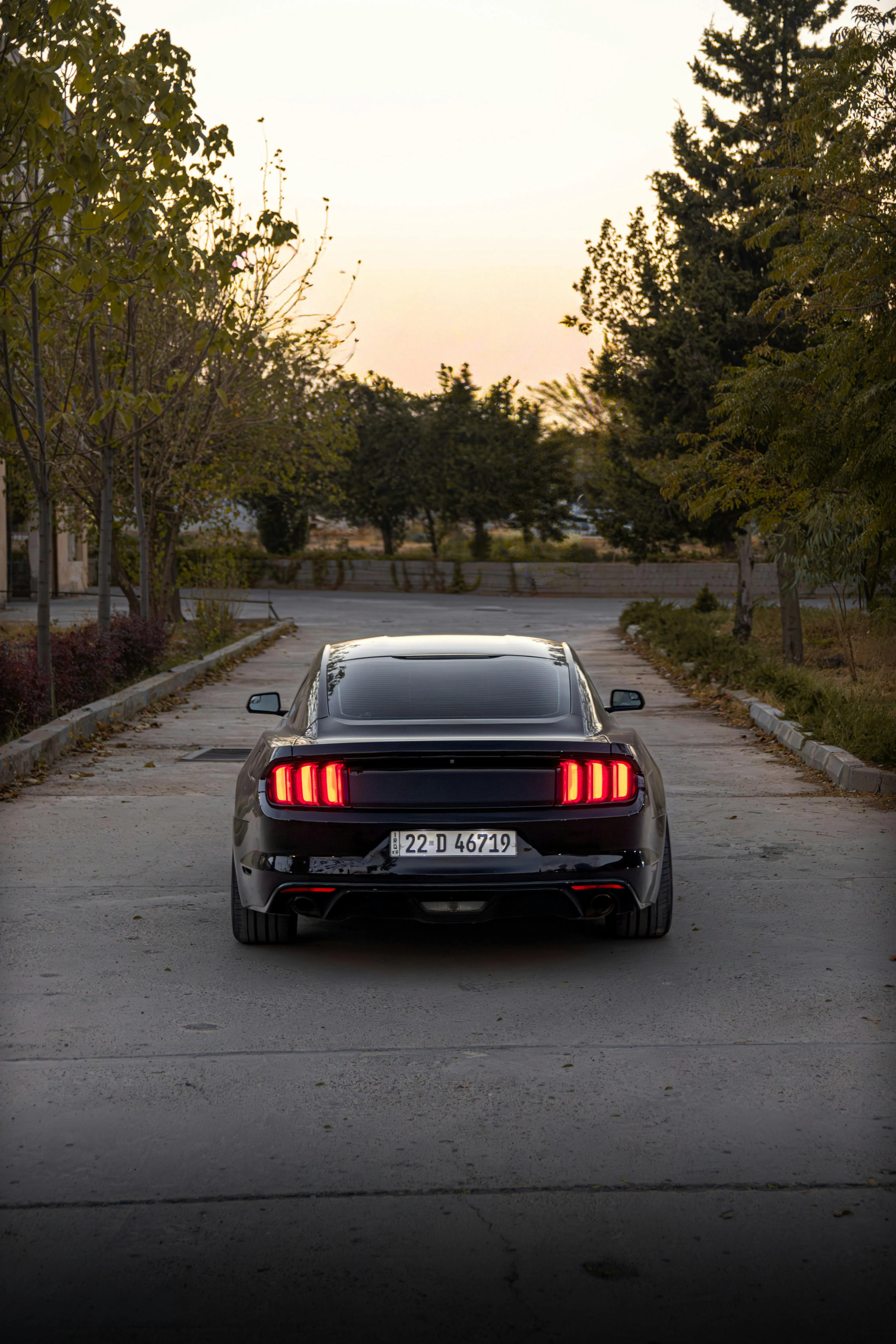 Redyar Rzgar on pexels