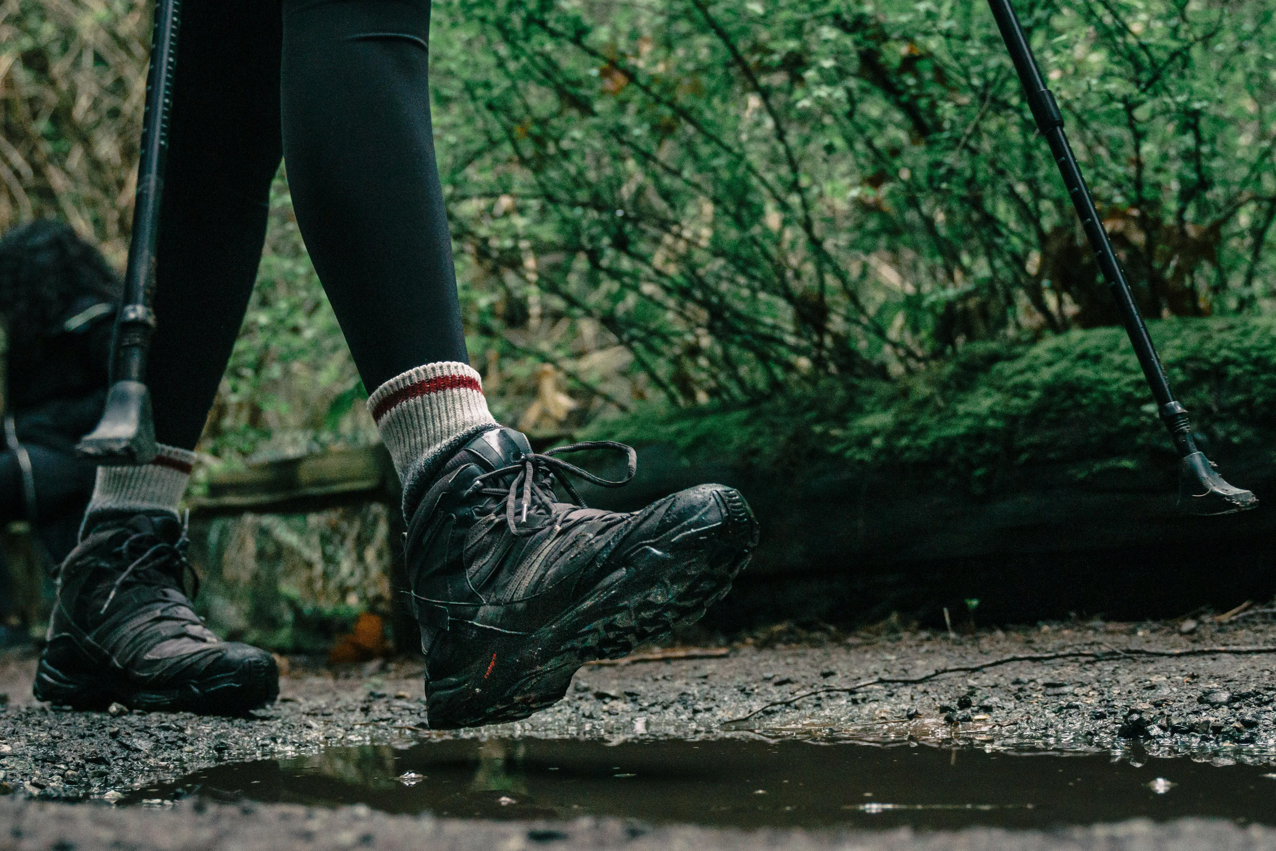 PNW Production on pexels