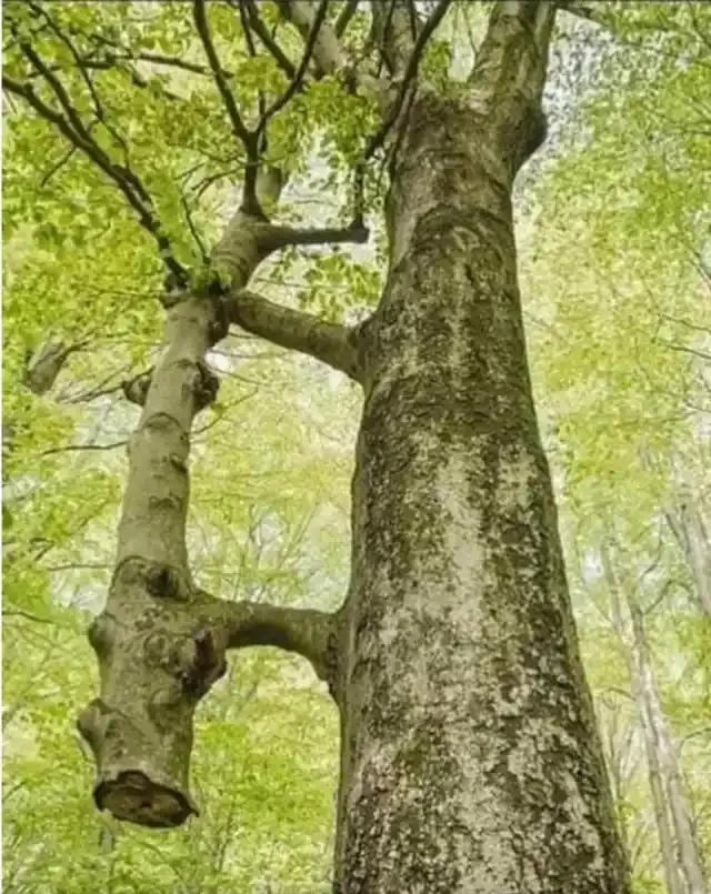 source: reddit