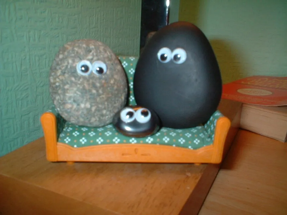 Pet Rock Net from Wikimedia Commons