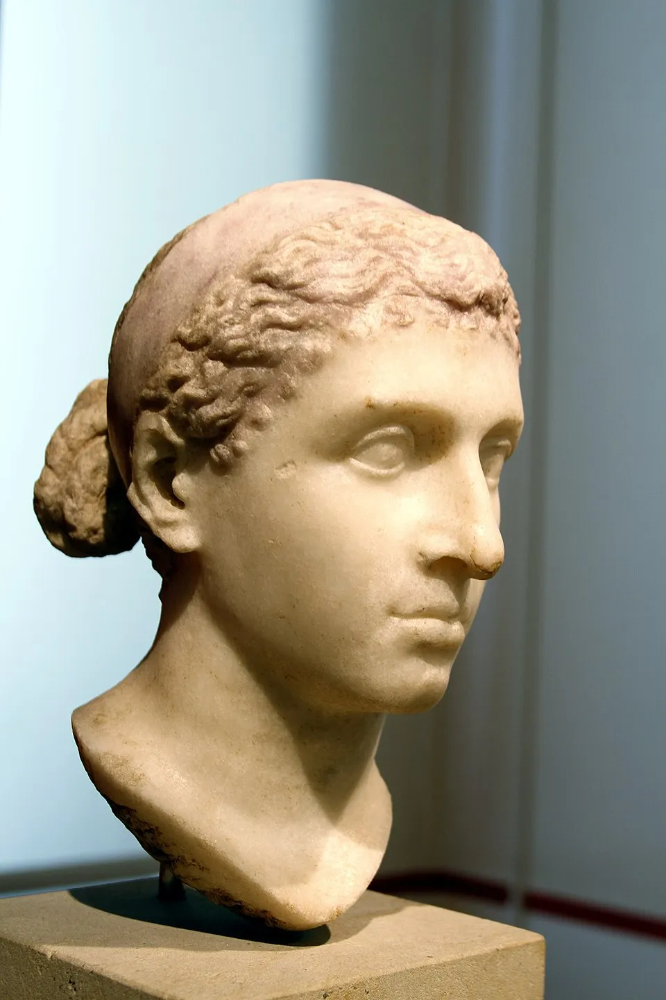 José Luiz Bernardes Ribeiro on Wikimedia Commons