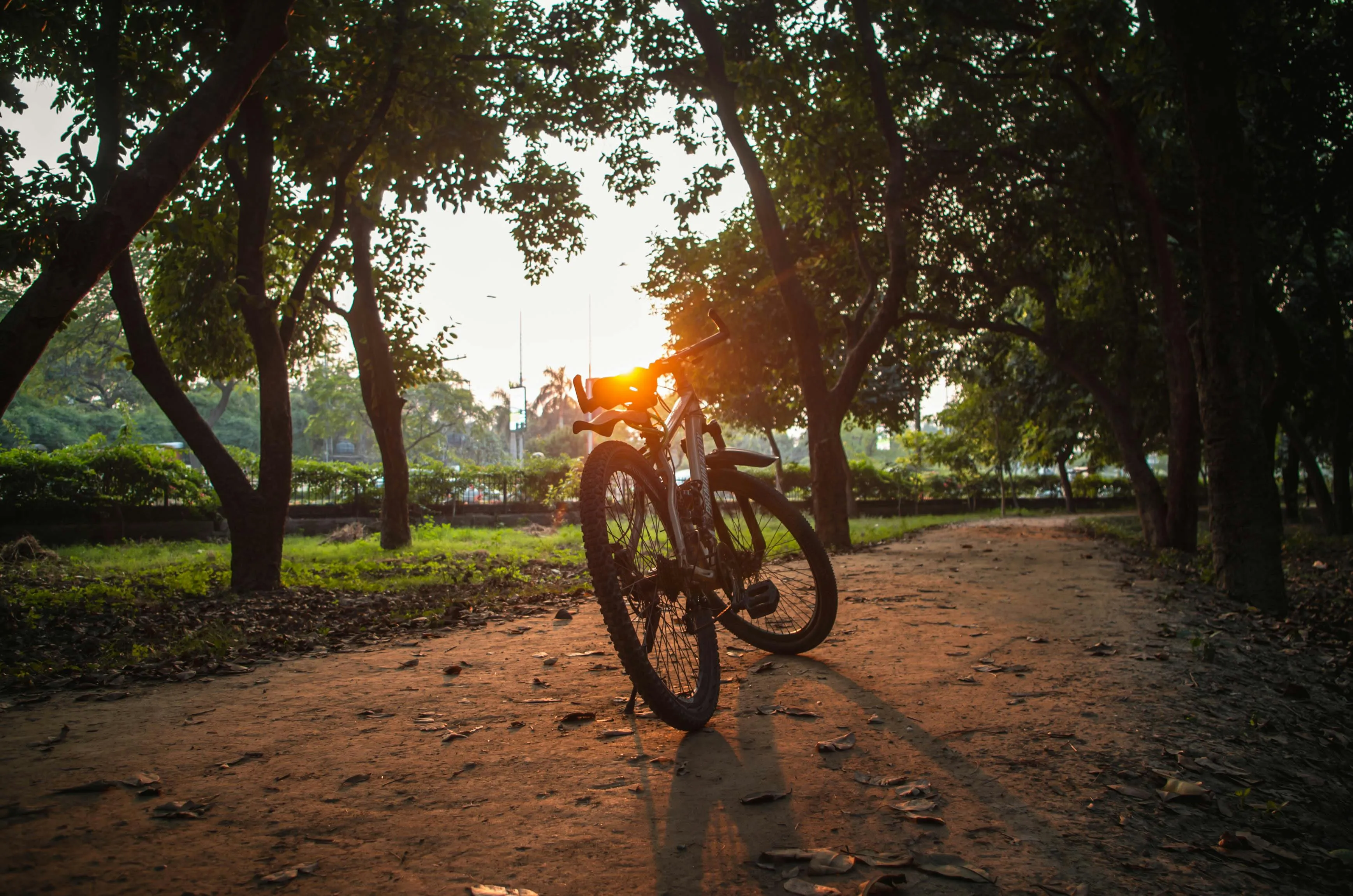 Shazaf Zafar on Pexels