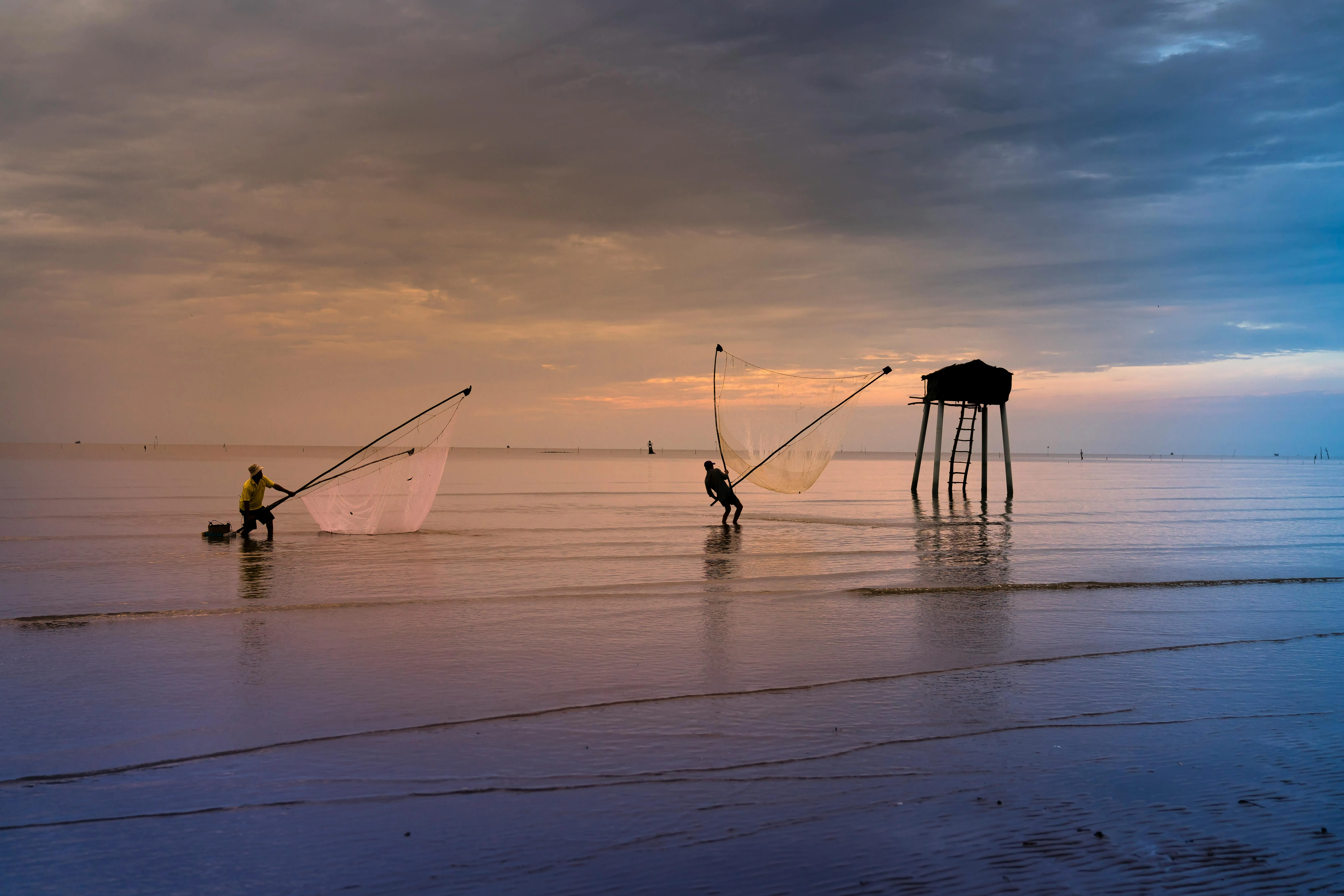 Quang Nguyen Vinh on pexels