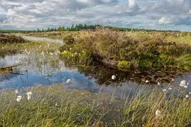 Image from Northumberland National Park