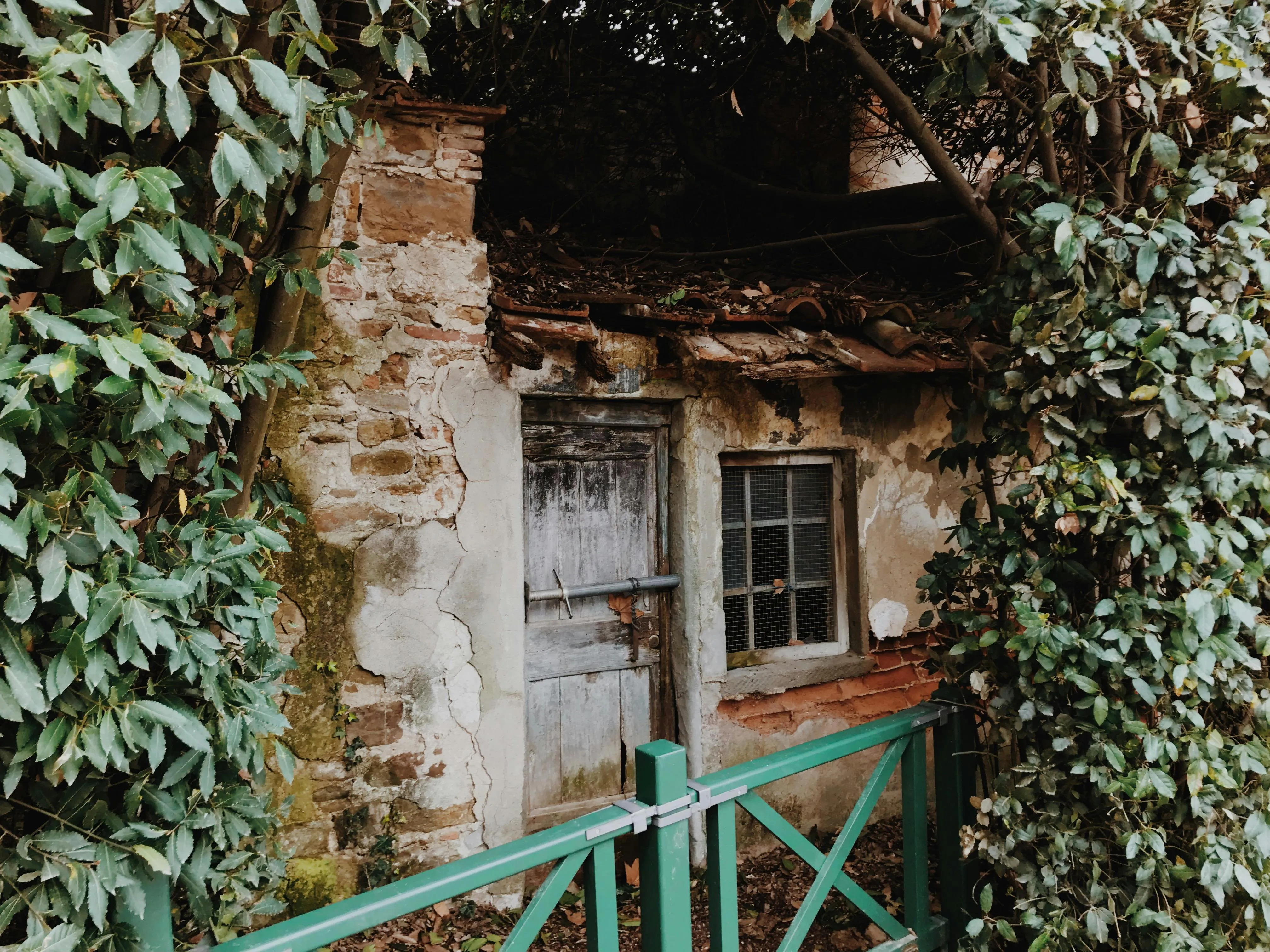 Mark Neal on Pexels