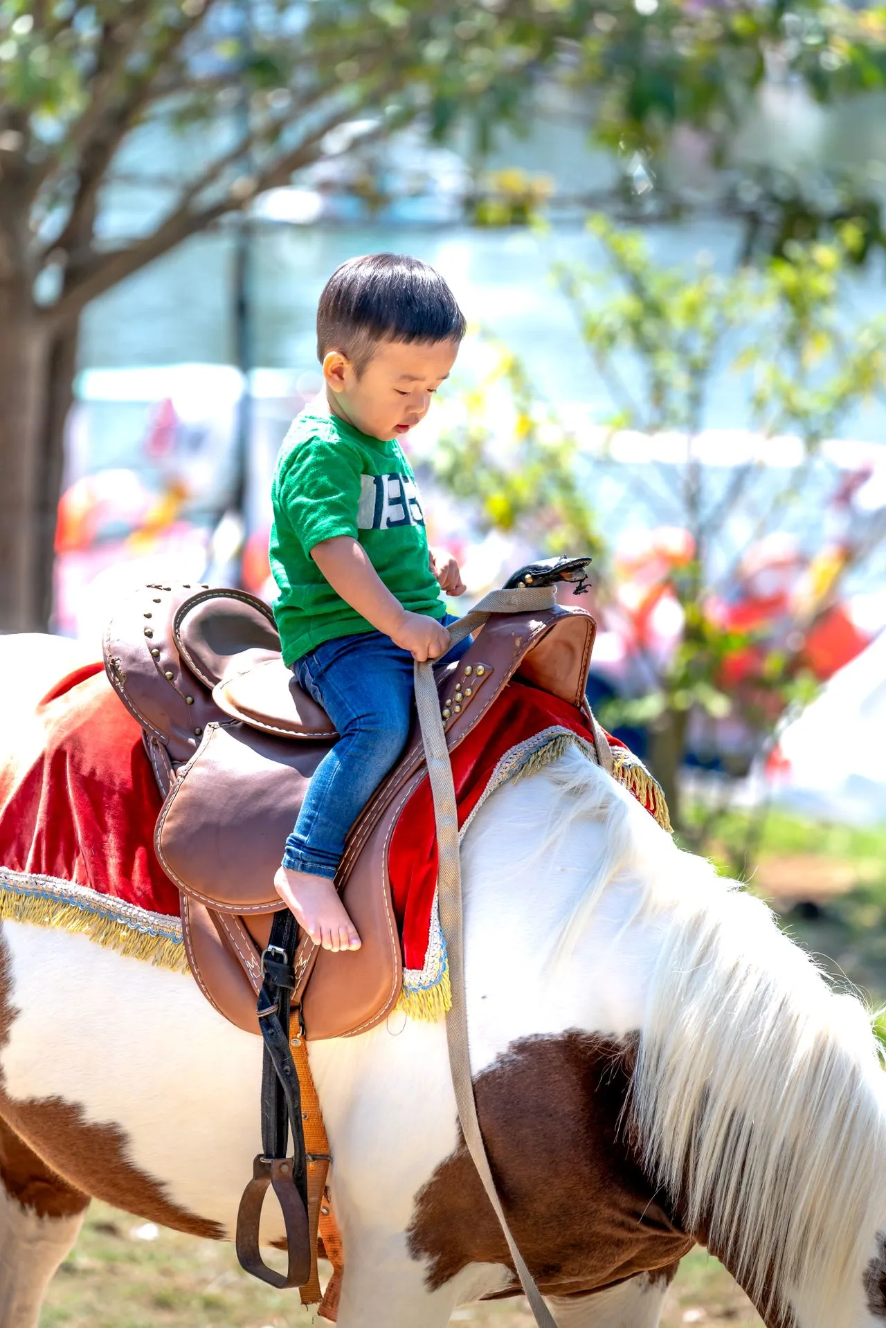 Quang Nguyen Vinh on Pexels