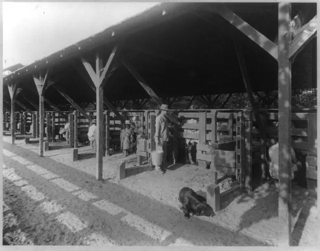 Watkins, Carleton E. on Wikicommons