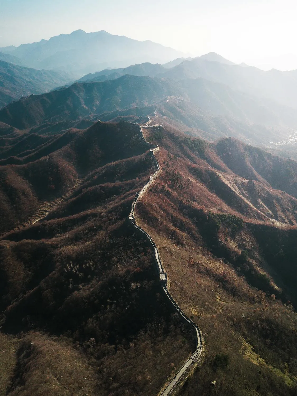 Alex Qian on Pexels