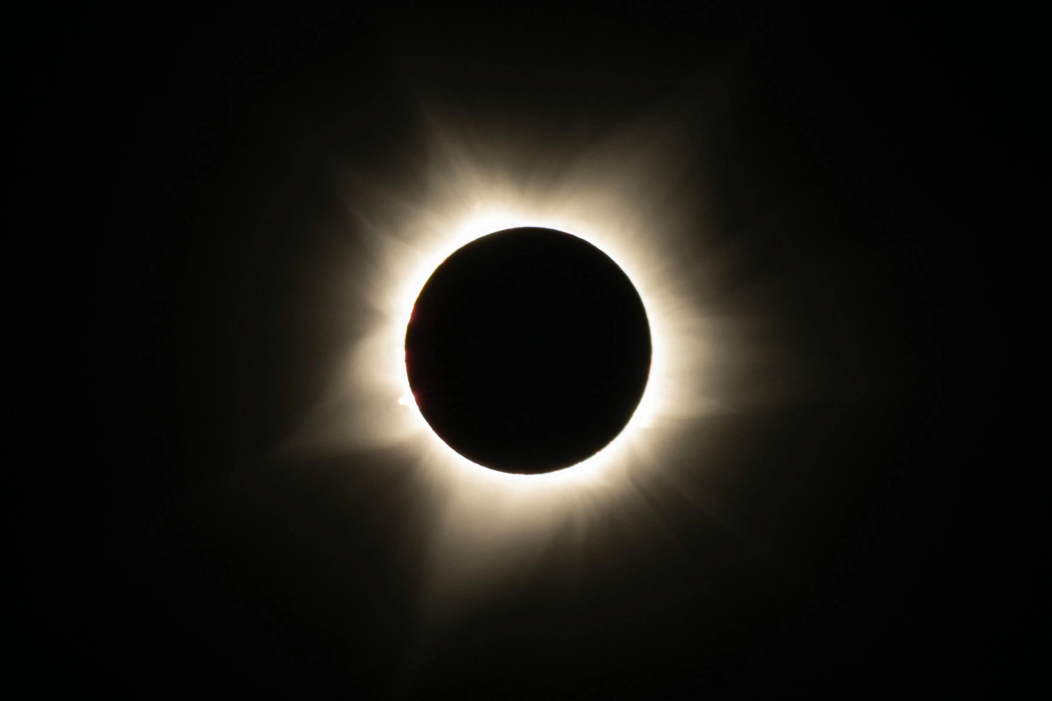 Eclipse Chasers on Pexels