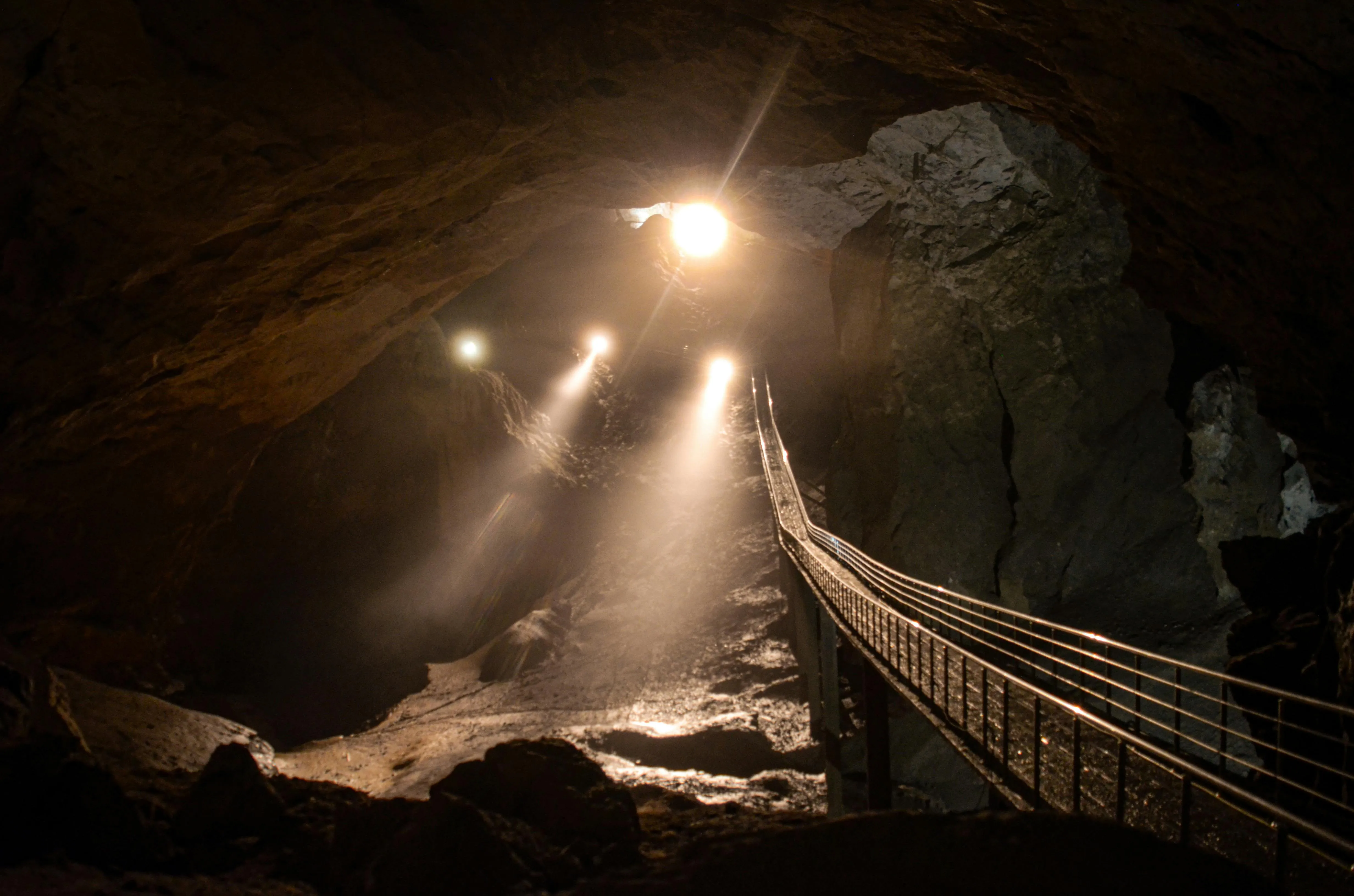 Arina Dmitrieva on pexels