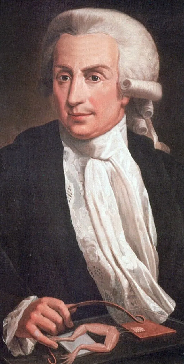 Unidentified painter on wikimedia