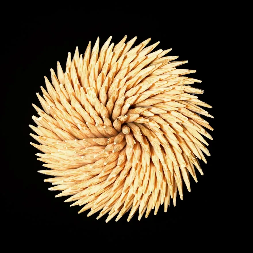 noosha ghodsizad from Unsplash