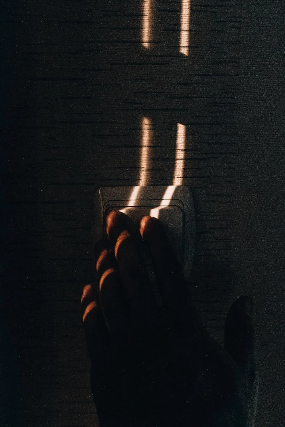 Javid Hashimov on Pexels