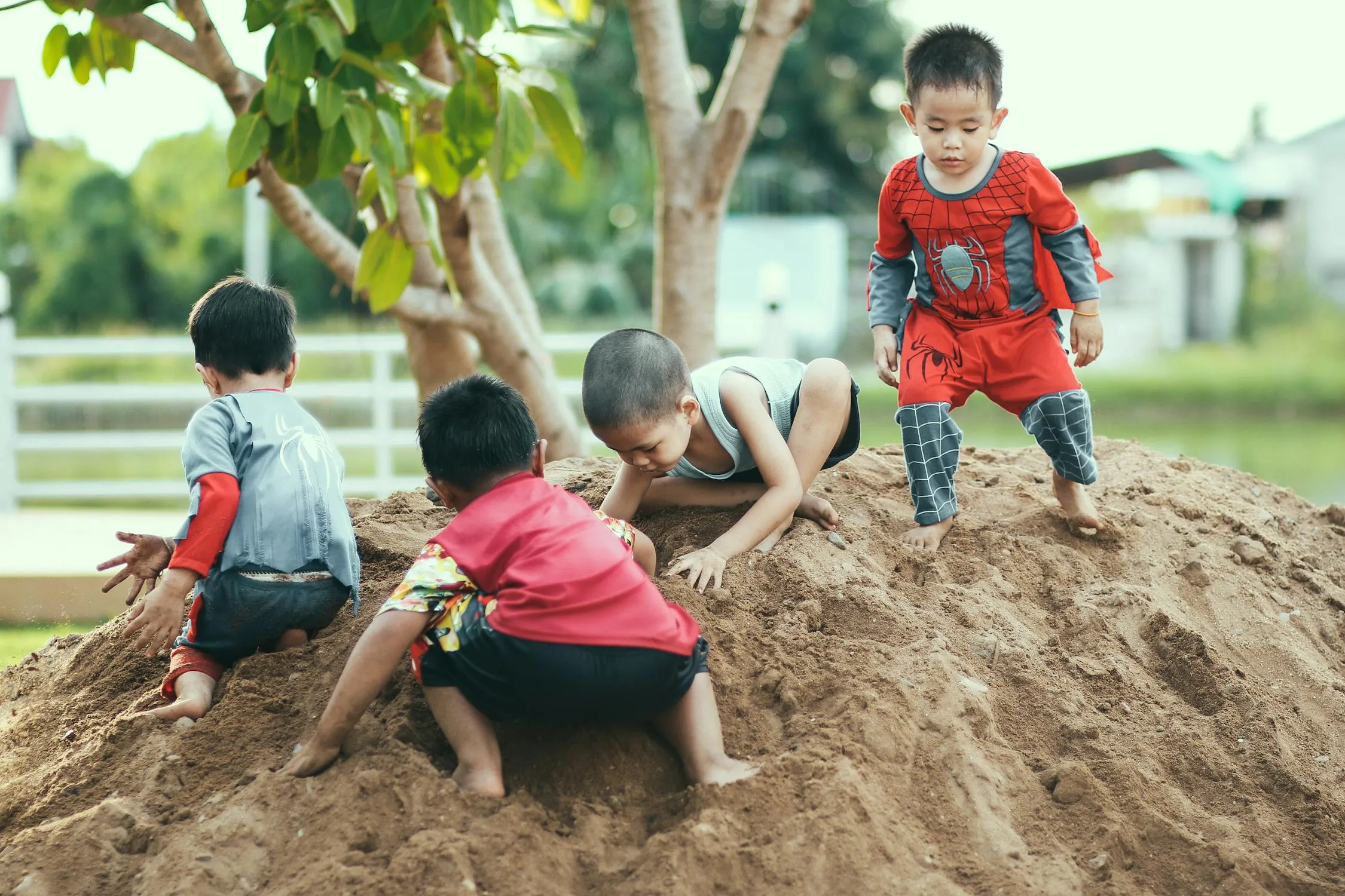 Krisadakorn Kongngoen on Pexels 