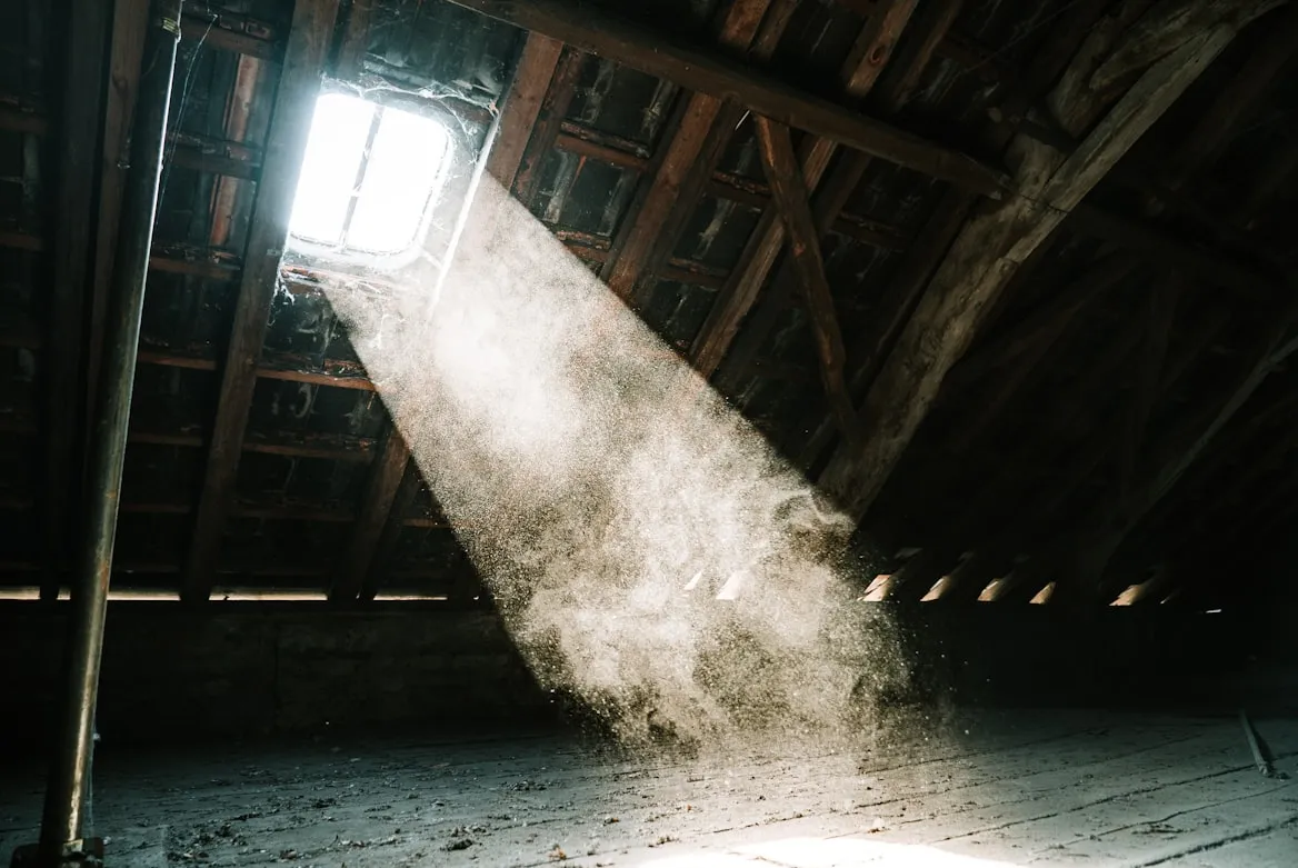 Mika Baumeister from Unsplash