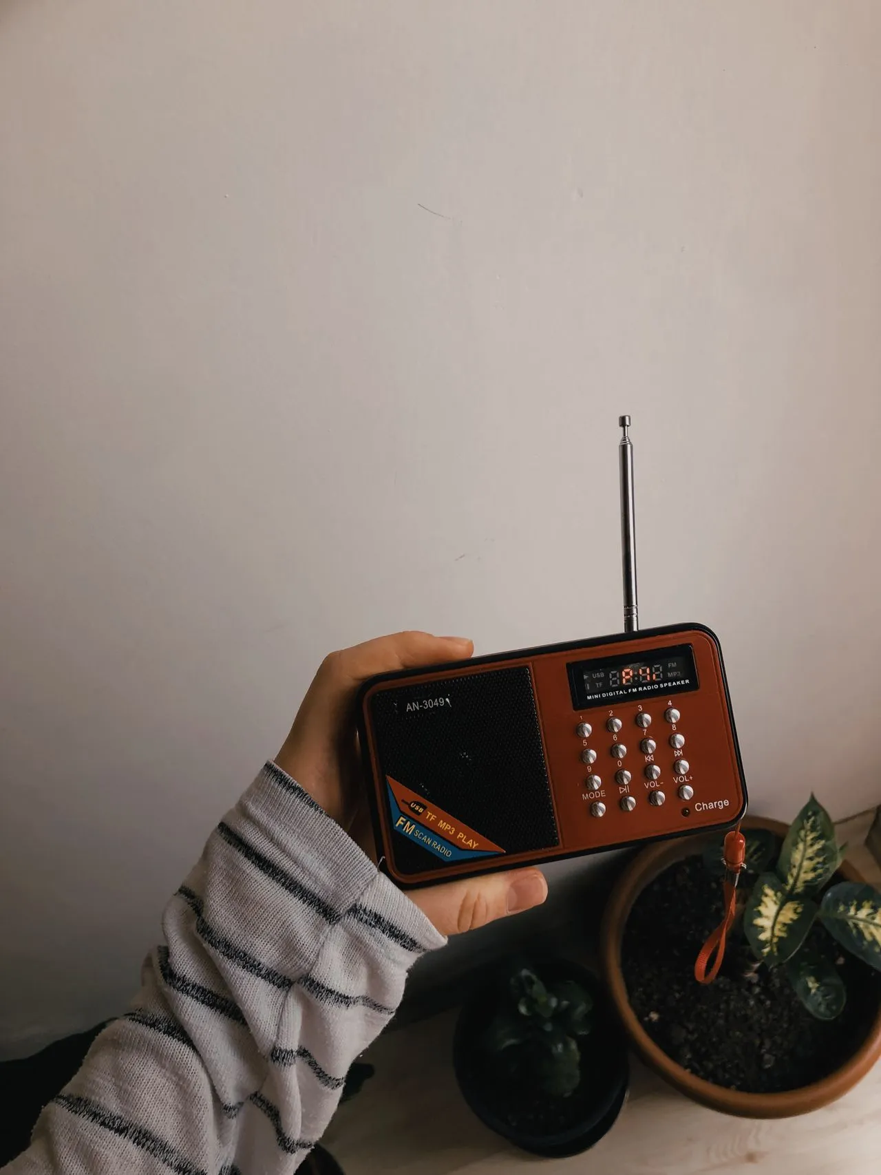 Sema Nur on Pexels