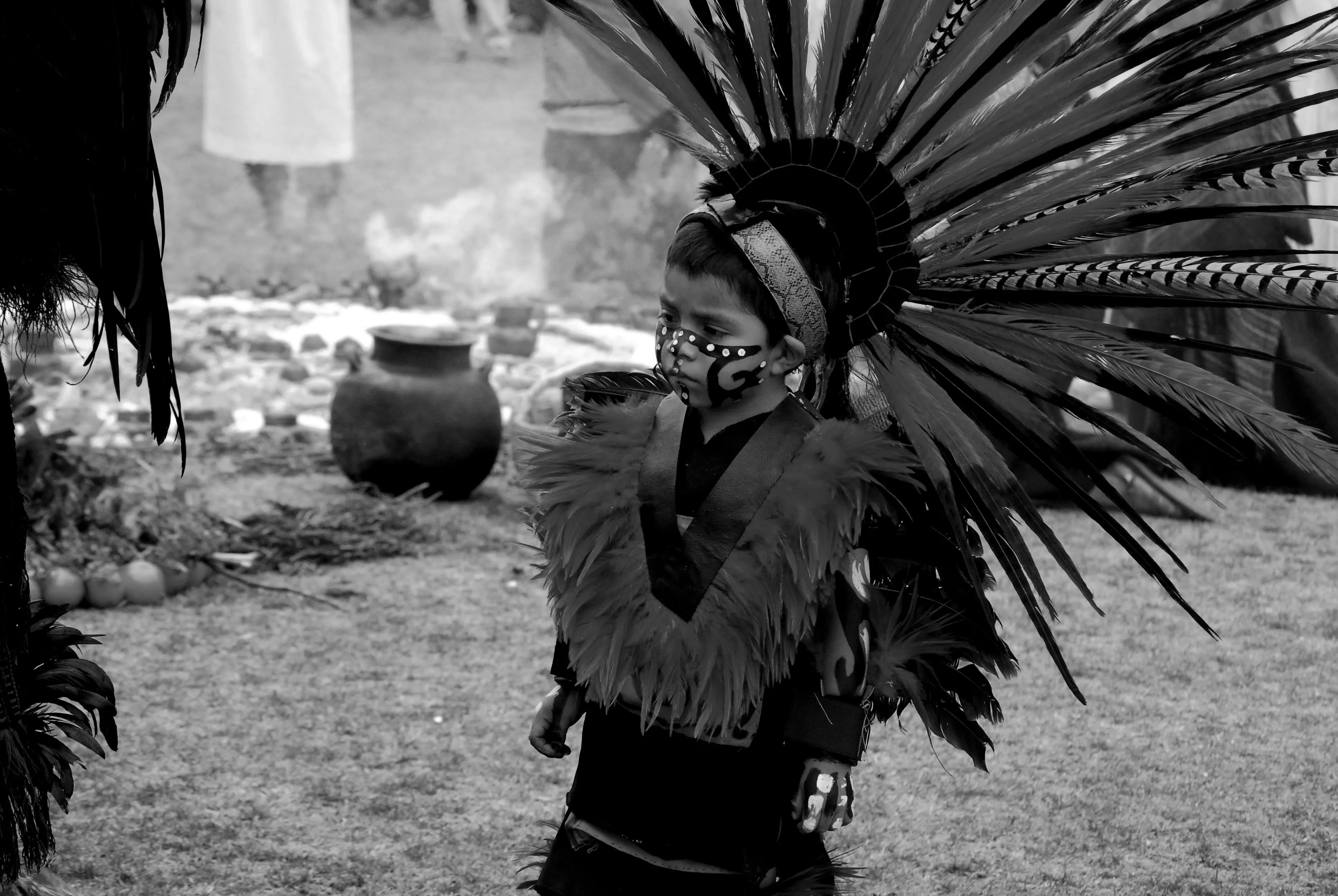 INOCENTE SANCHEZ GUADARRAMA on pexels
