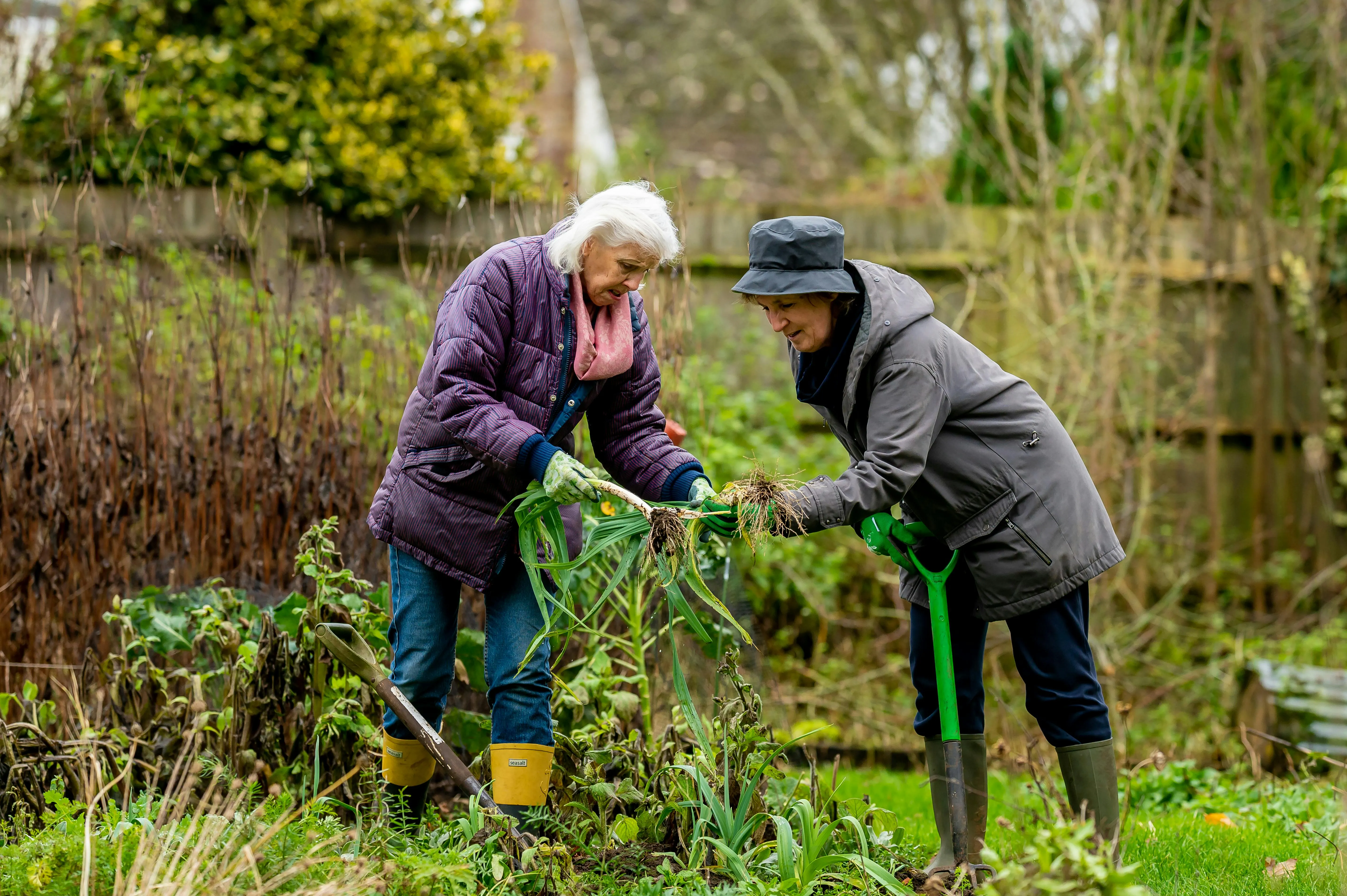 Centre for Ageing Better on Pexels