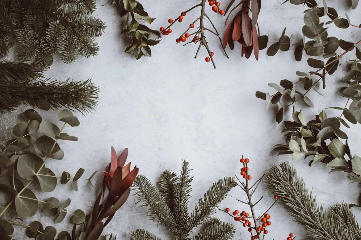 Annie Spratt from Unsplash