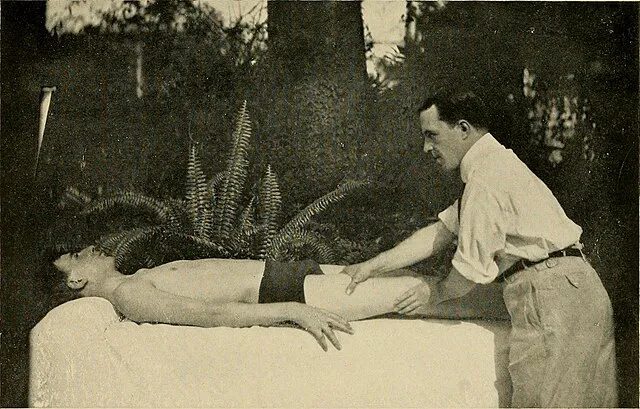 Internet Archive Book Images on Wikimedia Commons