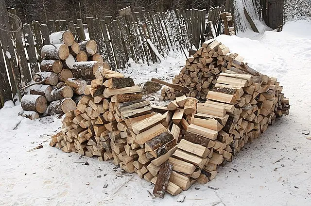 Dmitry Makeev on Wikimedia Commons