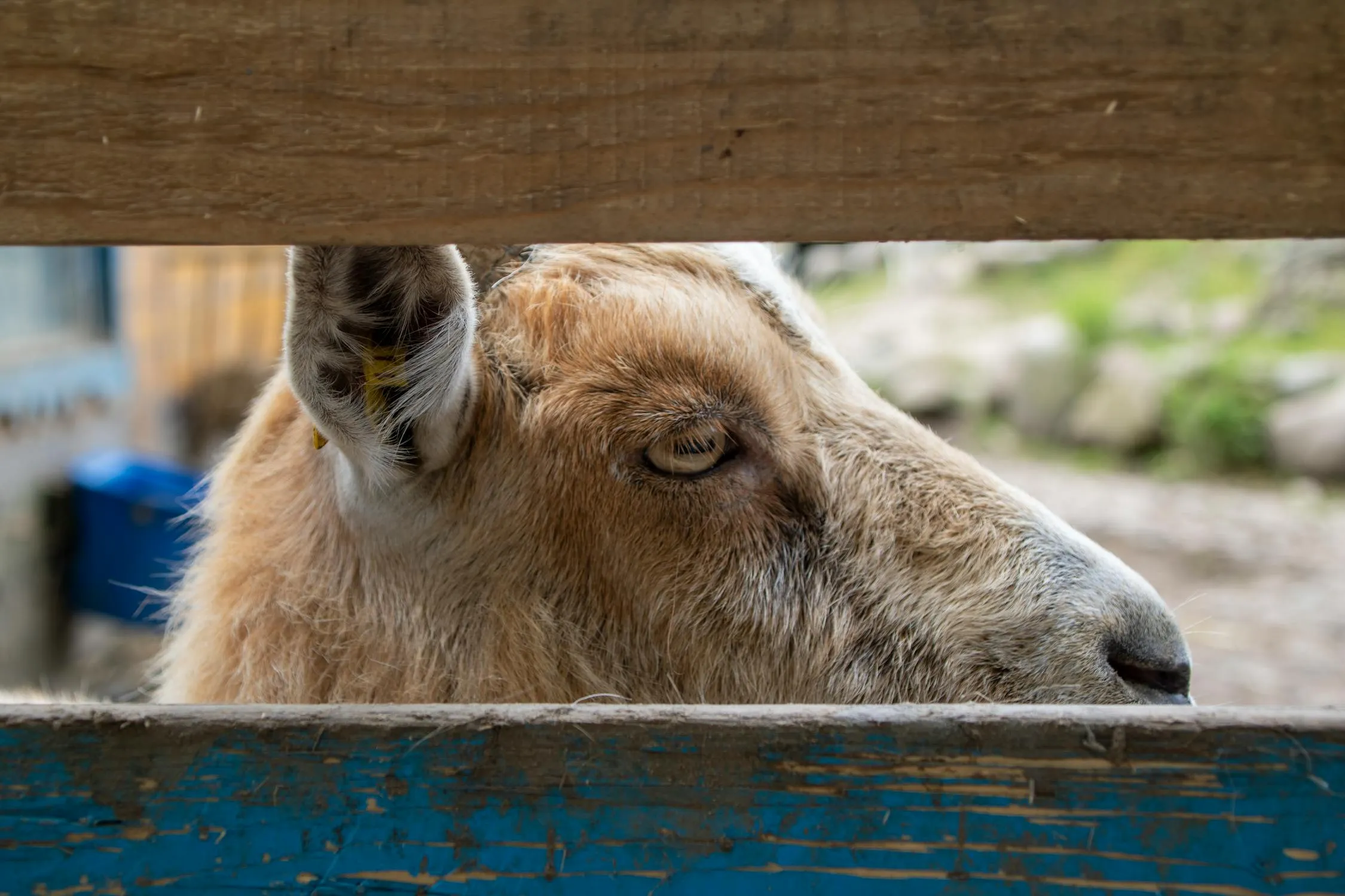 Frank Rietsch on Pexels