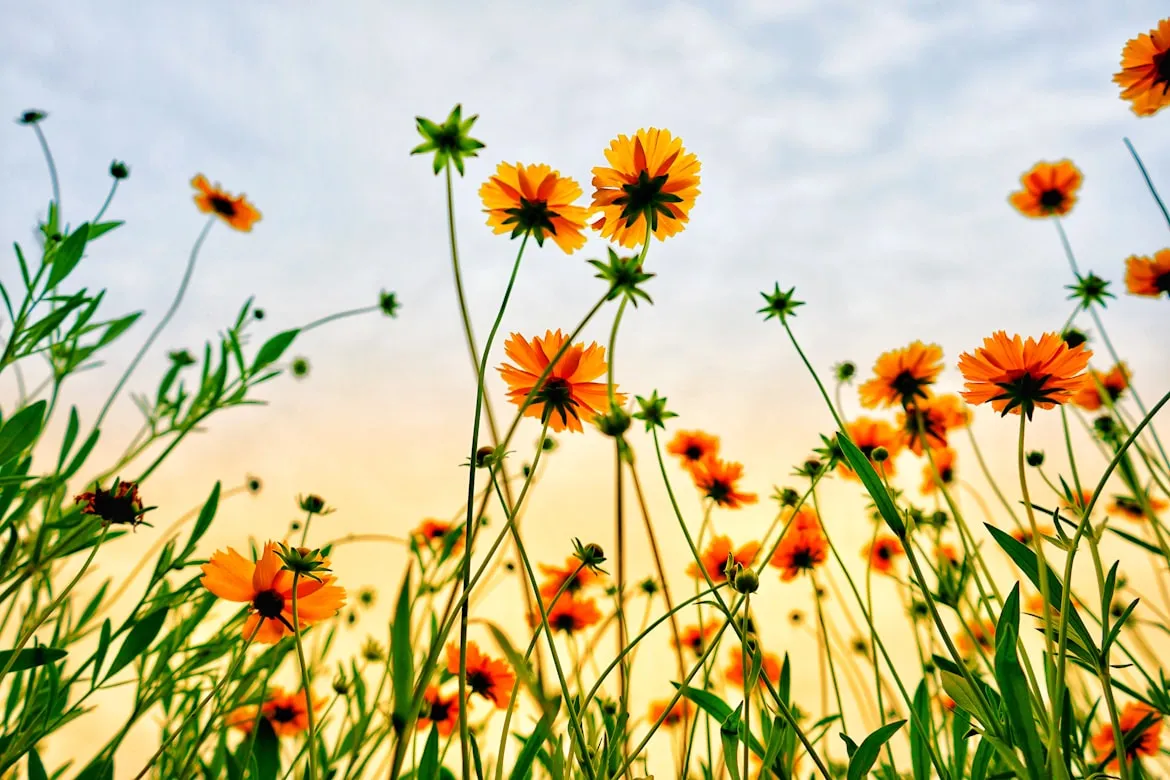 Lee 琴 from Unsplash