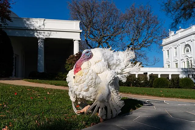 The Trump White House Archived on Wikimedia Commons