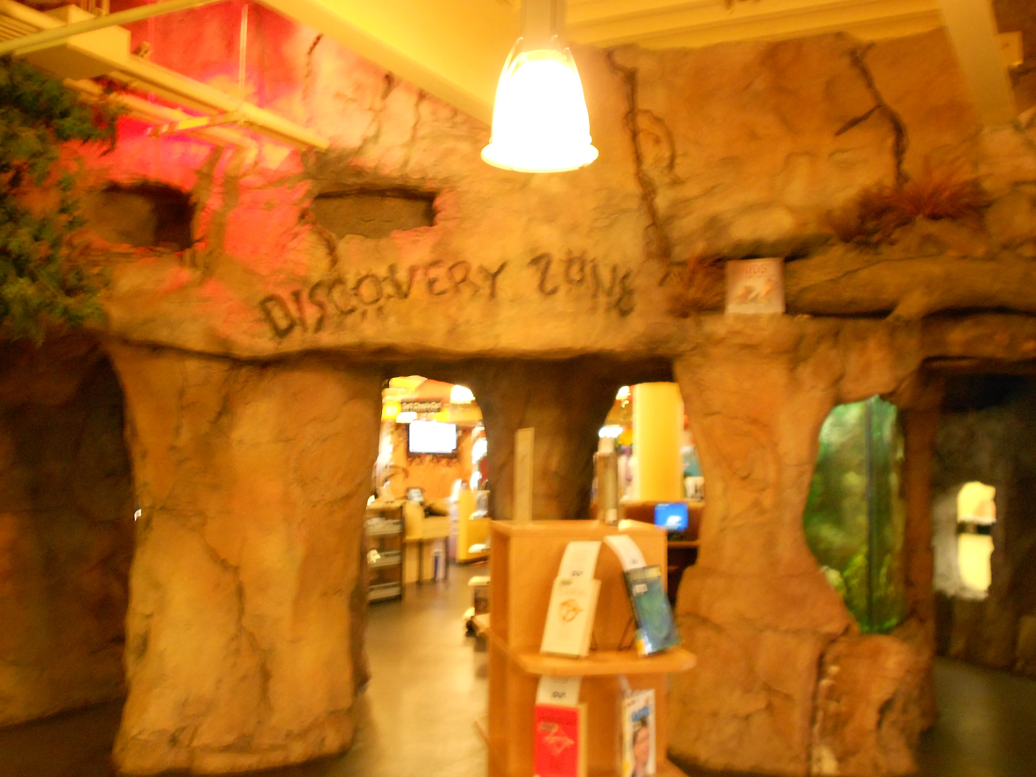 Tamara Evans on Flickr