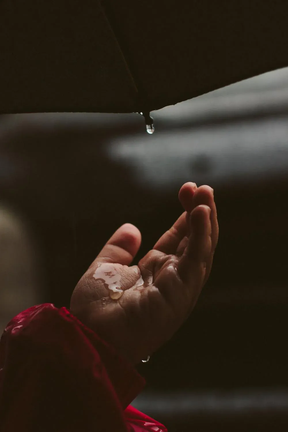 Oyuna Burlakova on Pexels