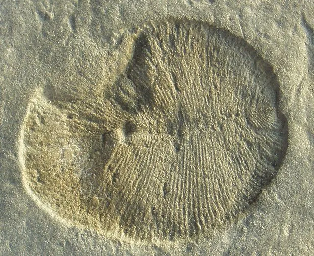 Ghedoghedo on Wikimedia Commons