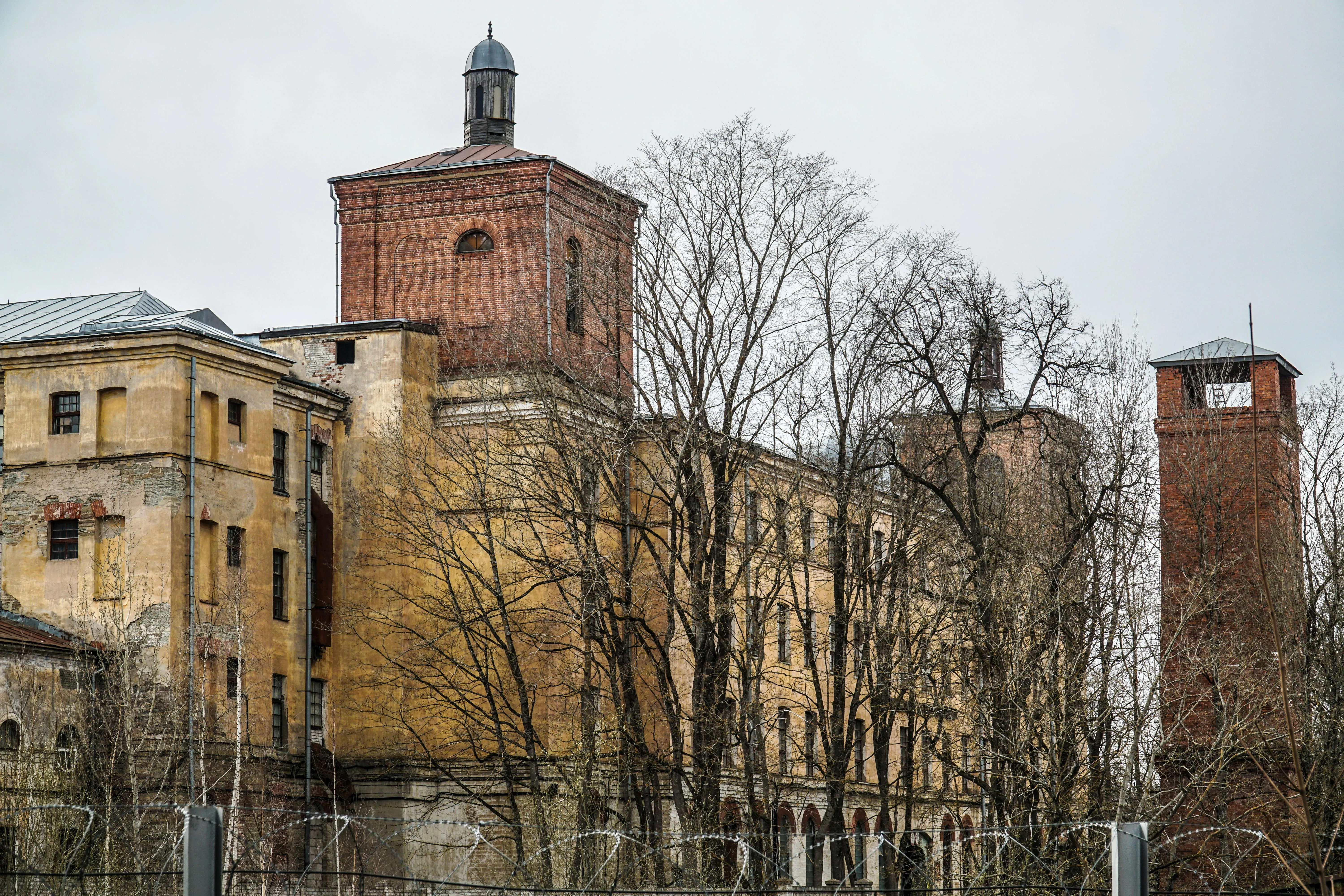 Irina Balashova on pexels