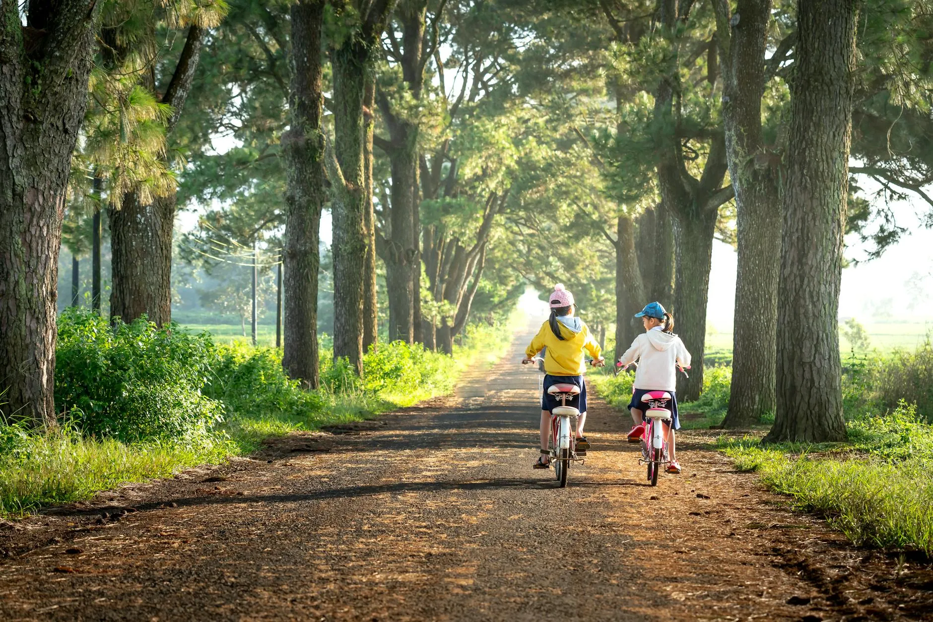 Quang Nguyen Vinh on Pexels