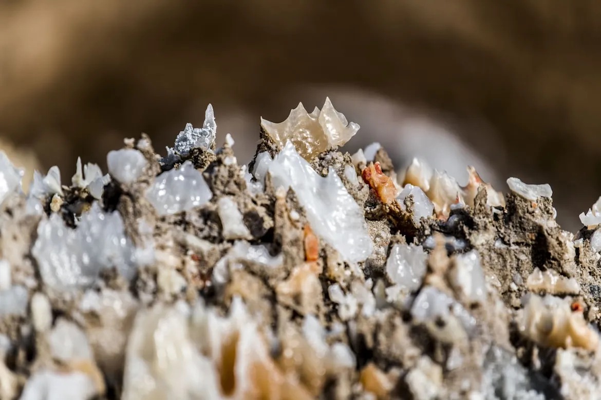 mahdi karami from Unsplash