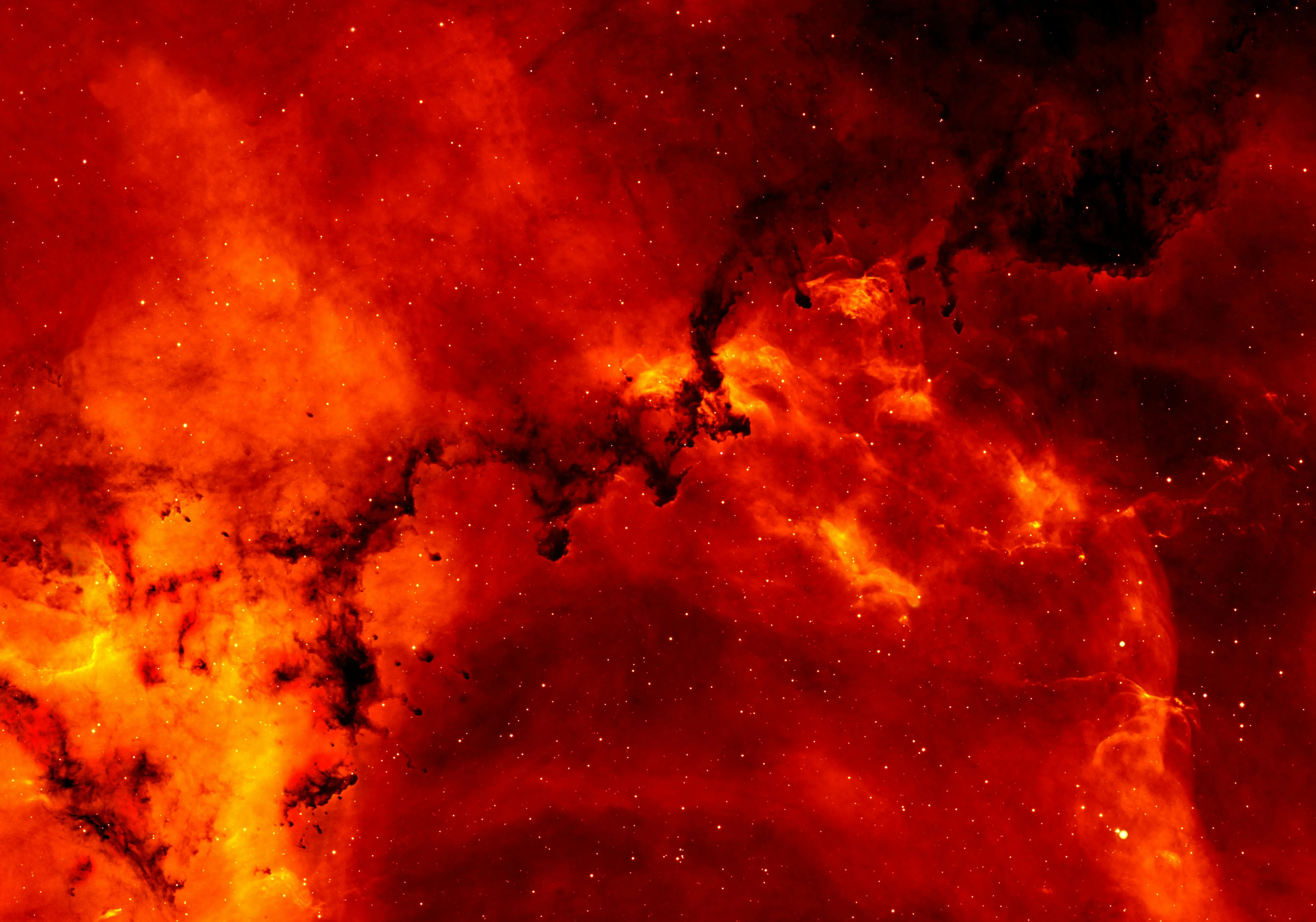 Pixabay on pexels