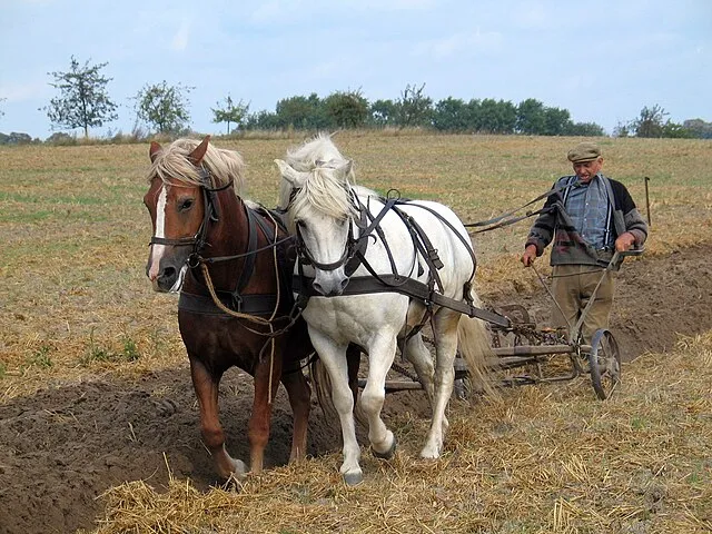 Ralf Roletschek on Wikimedia Commons