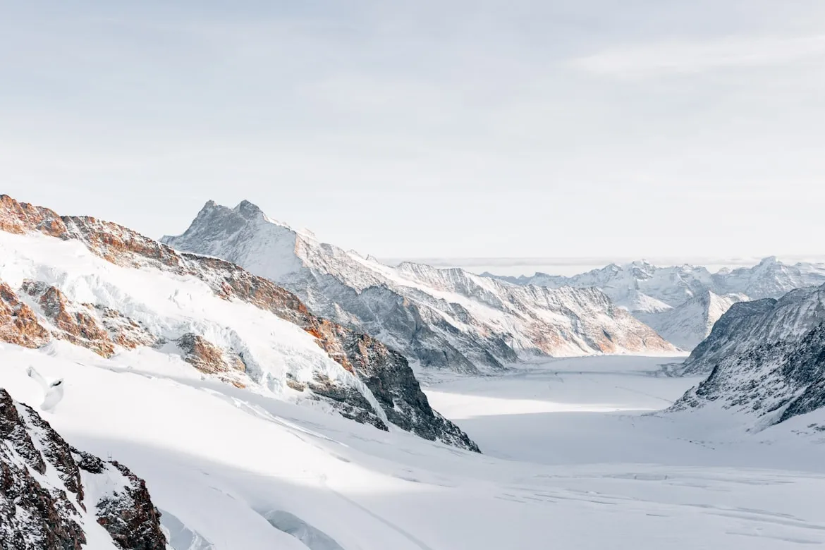 Erol Ahmed from Unsplash