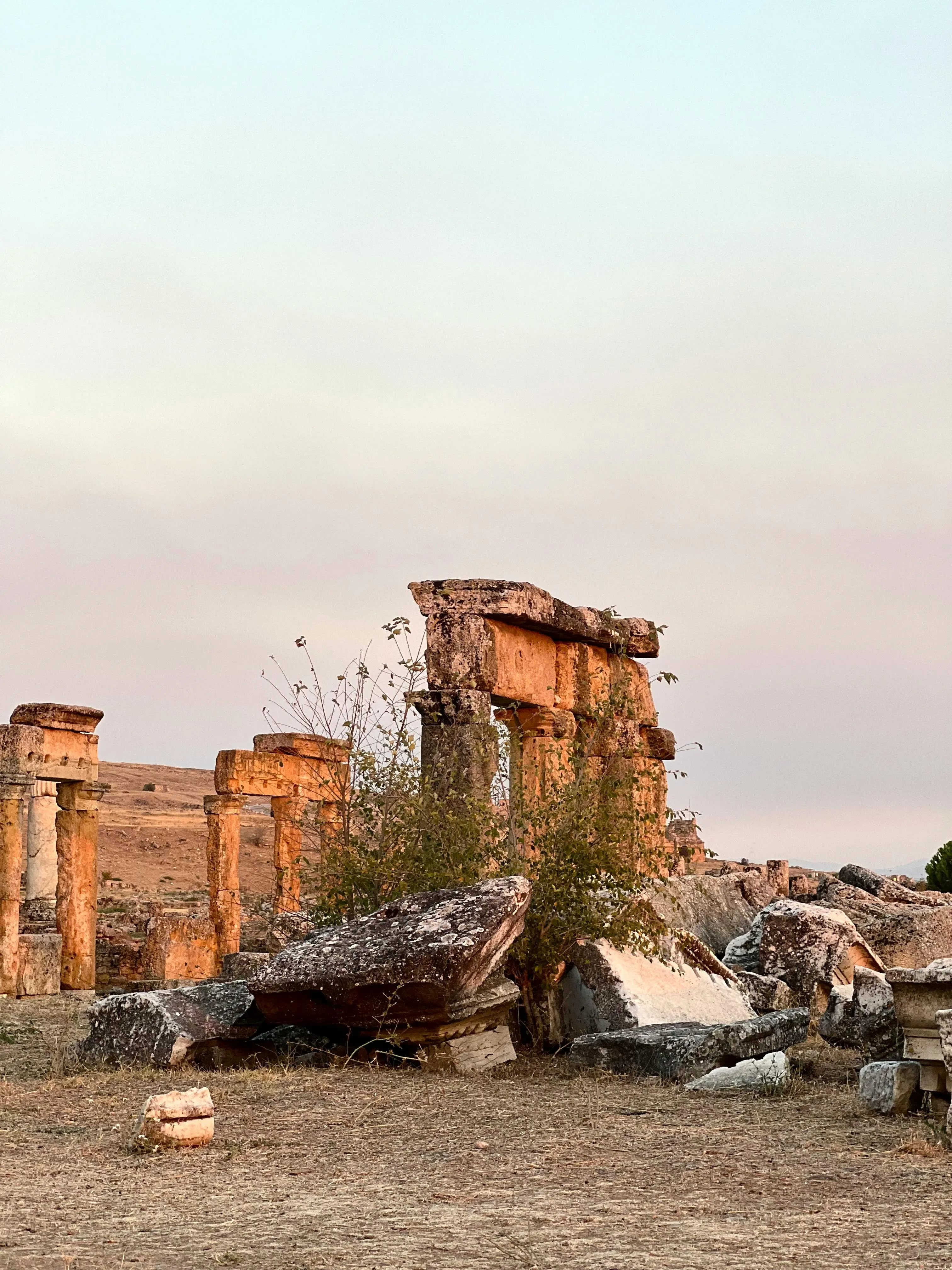  Sultan Güner on Pexels